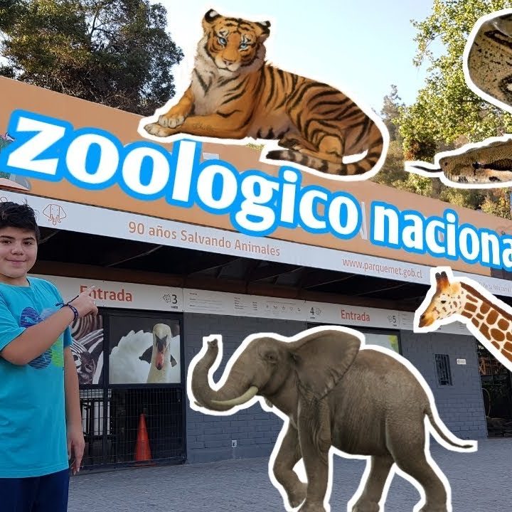 ZOO METROPOLITANO